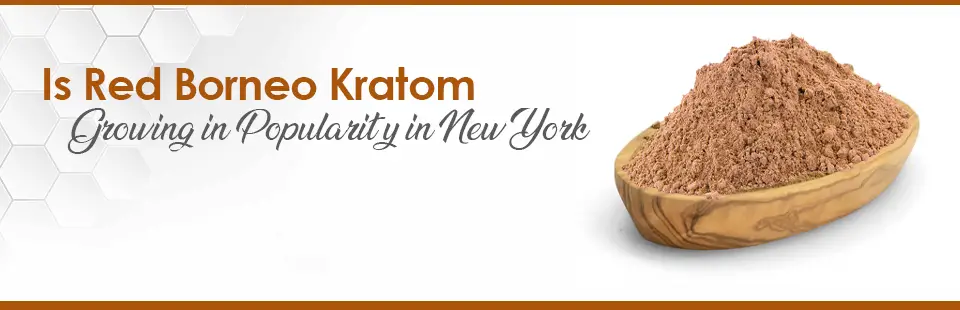Is Red Borneo Kratom Growing in Popularity In New York