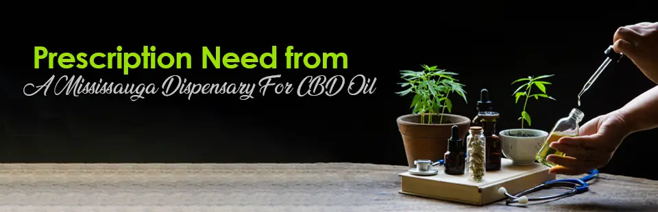 Prescription Need from a Mississauga Dispensary for CBD Oil