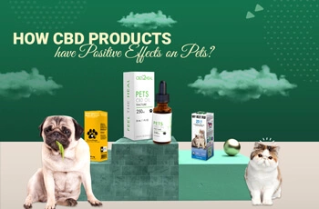 How CBD Products Have Positive Effects On Pets