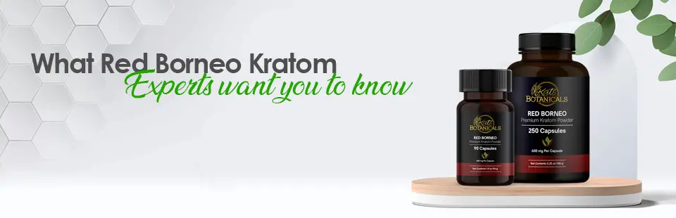 What Red Borneo Kratom Experts Want You to Know